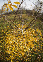 Similar image 13310024