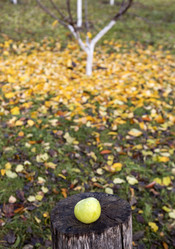 Similar image 13310056