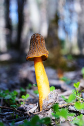 Similar image 13308753