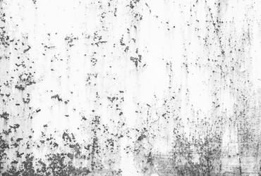 Similar image 13308755