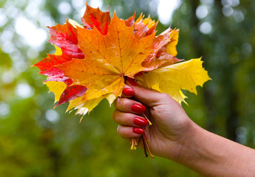 Similar image 13309003