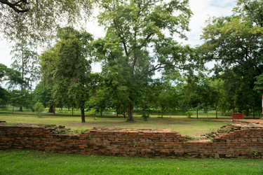 Similar image 13309263