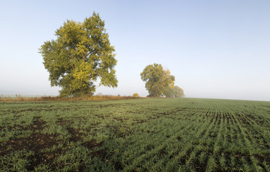 Similar image 13310072