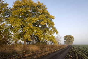 Similar image 13310083