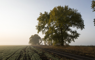 Similar image 13310167