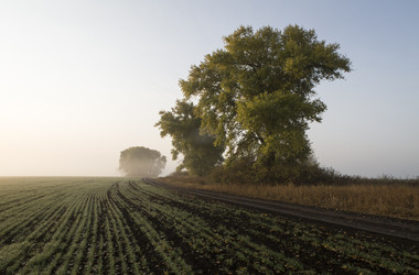 Similar image 13310188