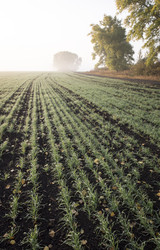 Similar image 13310189