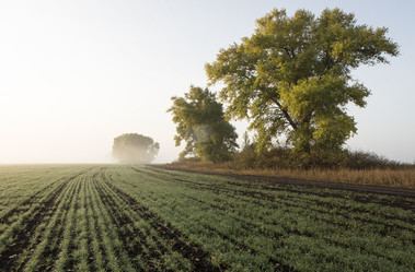 Similar image 13316792