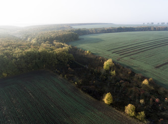 Similar image 13316817