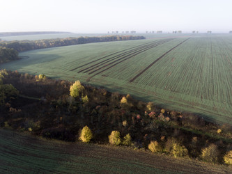 Similar image 13316818