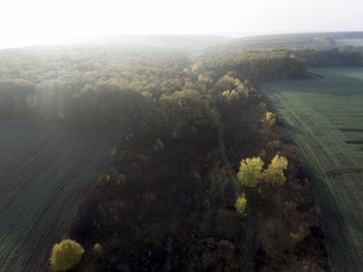 Similar image 13316820