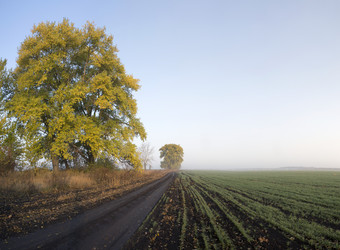 Similar image 13310042