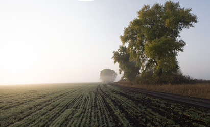 Similar image 13310073