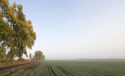 Similar image 13310074