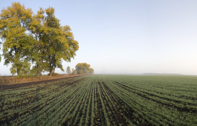 Similar image 13310191