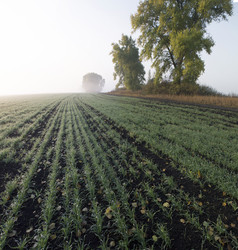 Similar image 13310216