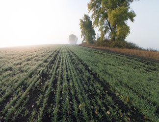 Similar image 13309961