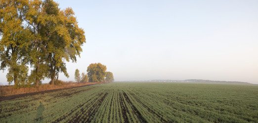 Similar image 13309962