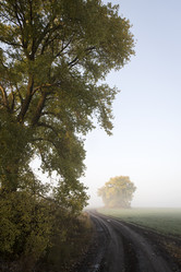 Similar image 13309963