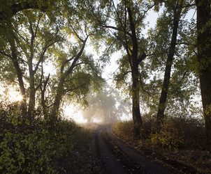 Similar image 13310058