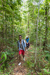 Similar image 13318053