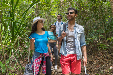 Similar image 13317972