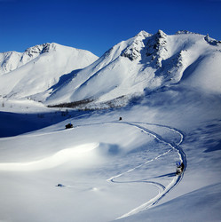 Similar image 13310137