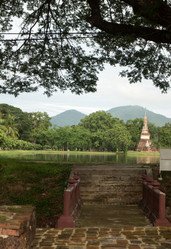 Similar image 13316383