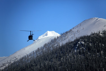 Similar image 13309965