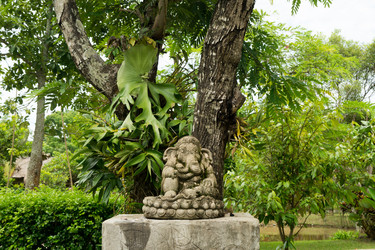 Similar image 13309277