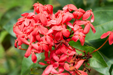 Similar image 13309278