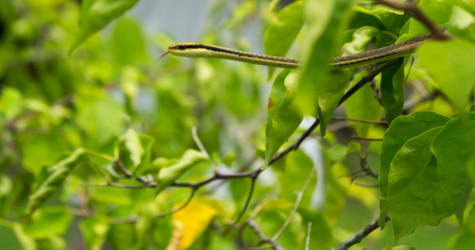 Similar image 13309279