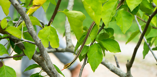 Similar image 13316356