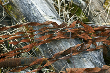 Similar image 13310145