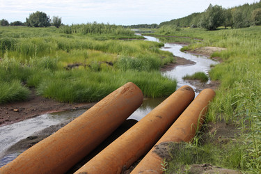 Similar image 13309968