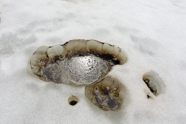 Similar image 13310247