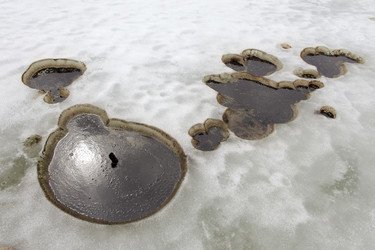 Similar image 13309969