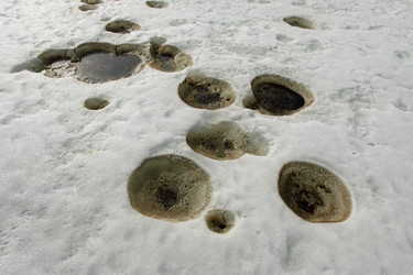 Similar image 13309970