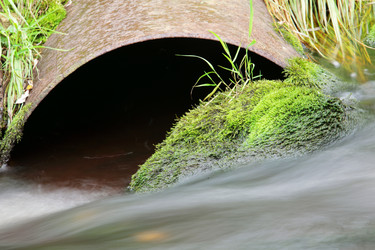 Similar image 13310087