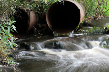 Similar image 13310089