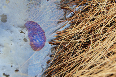 Similar image 13310047