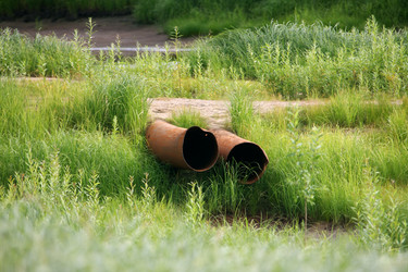 Similar image 13316793