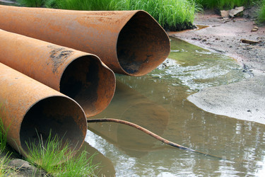 Similar image 13310025