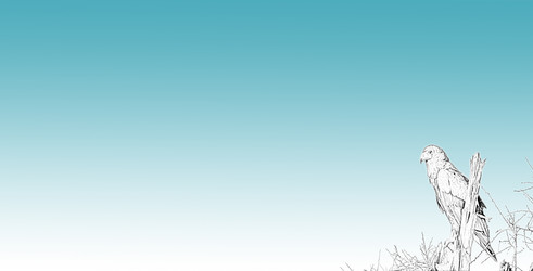 Similar image 13306137