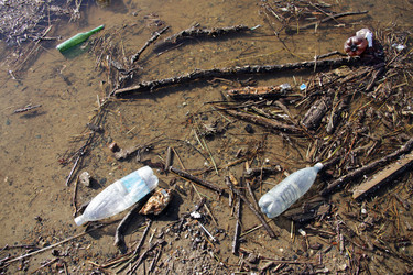 Similar image 13310265