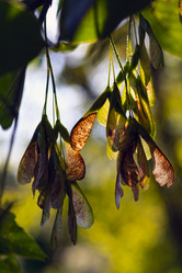 Similar image 13308206