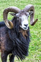 Similar image 13323256