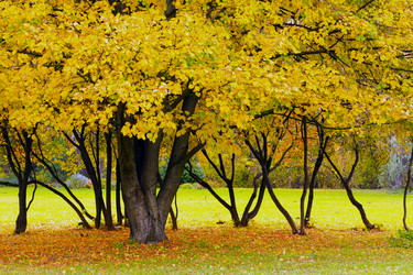 Similar image 13308186