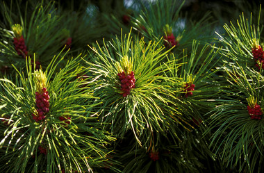 Similar image 13310049