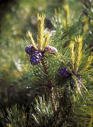 Similar image 13310151